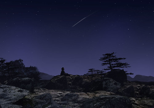 Meteorite Night