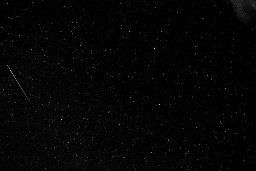 Perseid Meteor