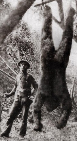 huntingtheapeman