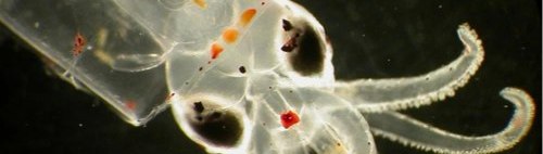 skitched-20110115-160254.jpg