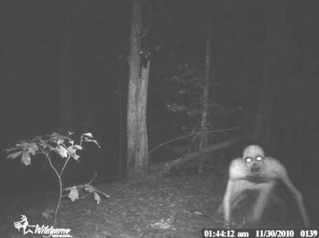 cam1