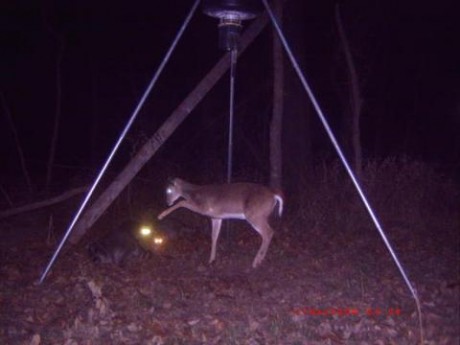 cam20