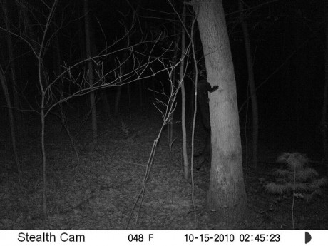 cam3